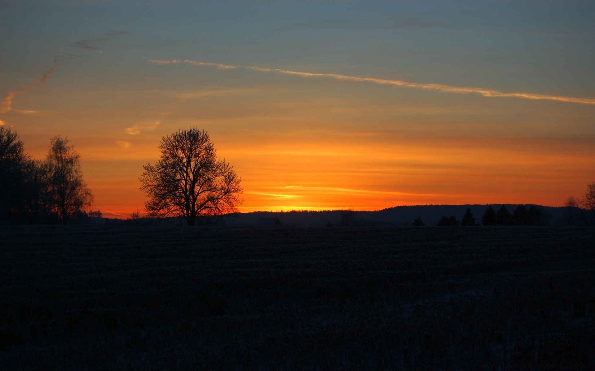 cielo tramonto alba sera albero paesaggio crepuscolo sole illuminato autunno luce cielo silhouette all aperto natura bel tempo