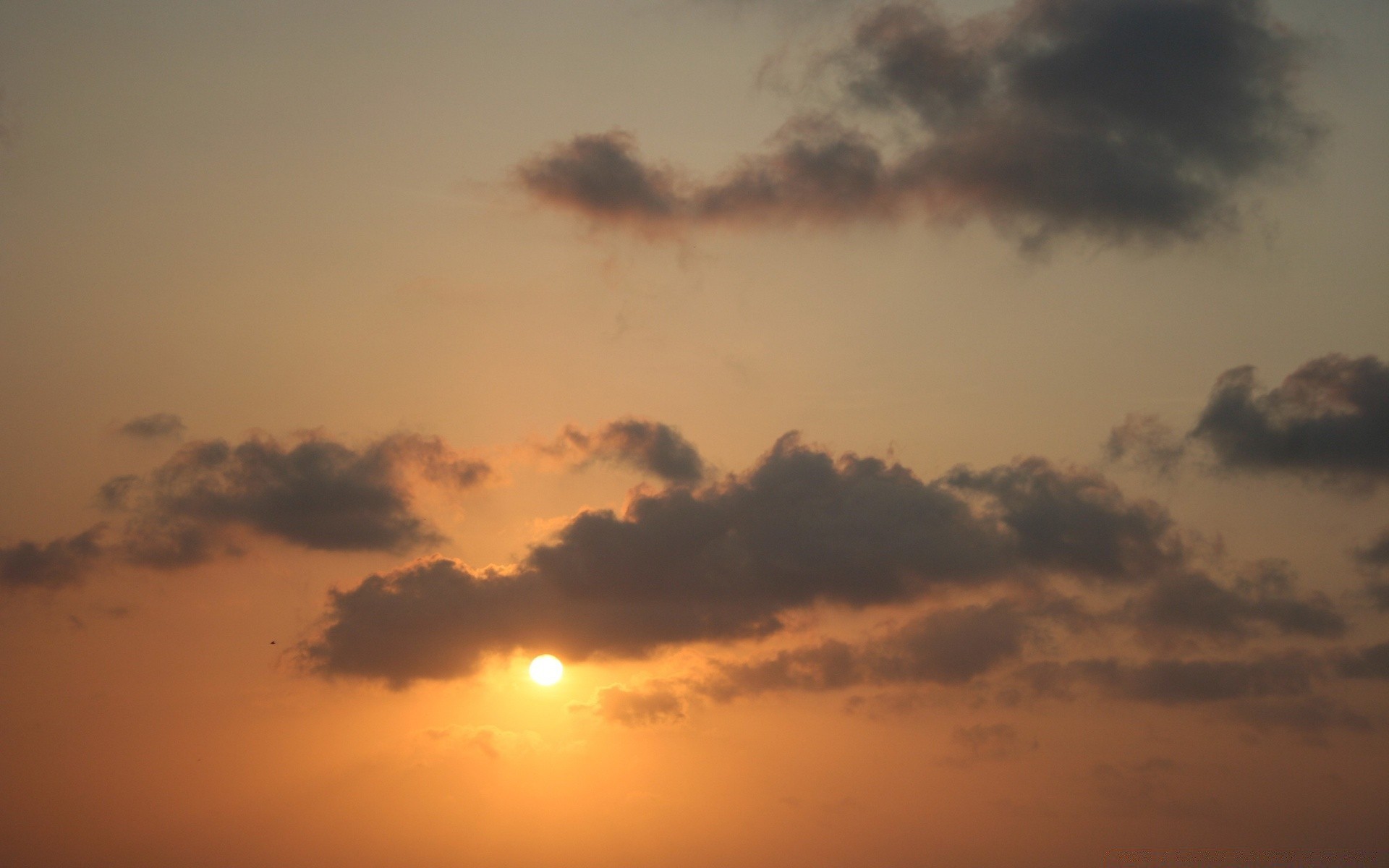 the sky sunset sun dawn backlit landscape sky light evening dusk weather silhouette fair weather water fog storm