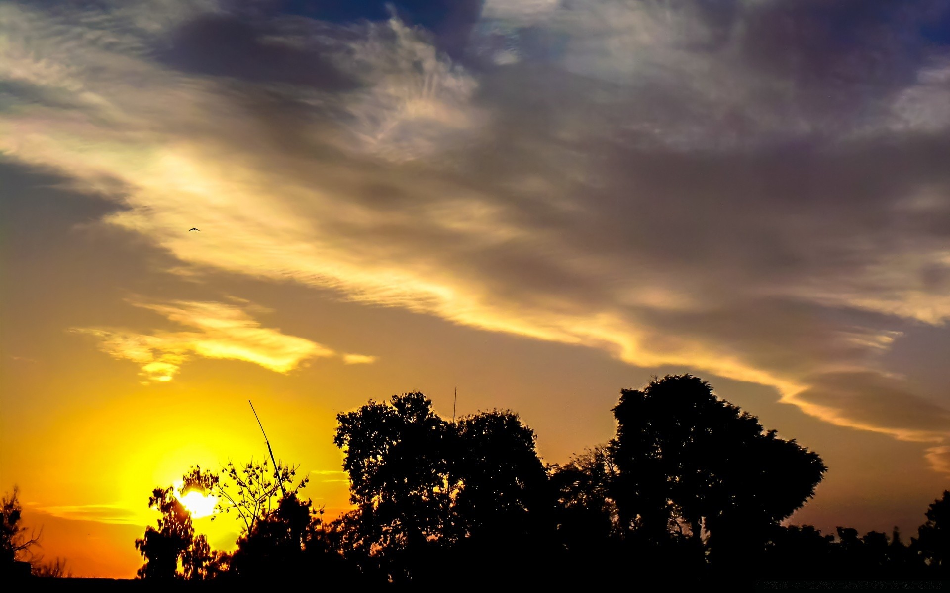 cielo tramonto sole alba cielo sera natura crepuscolo illuminato all aperto silhouette bel tempo paesaggio estate albero