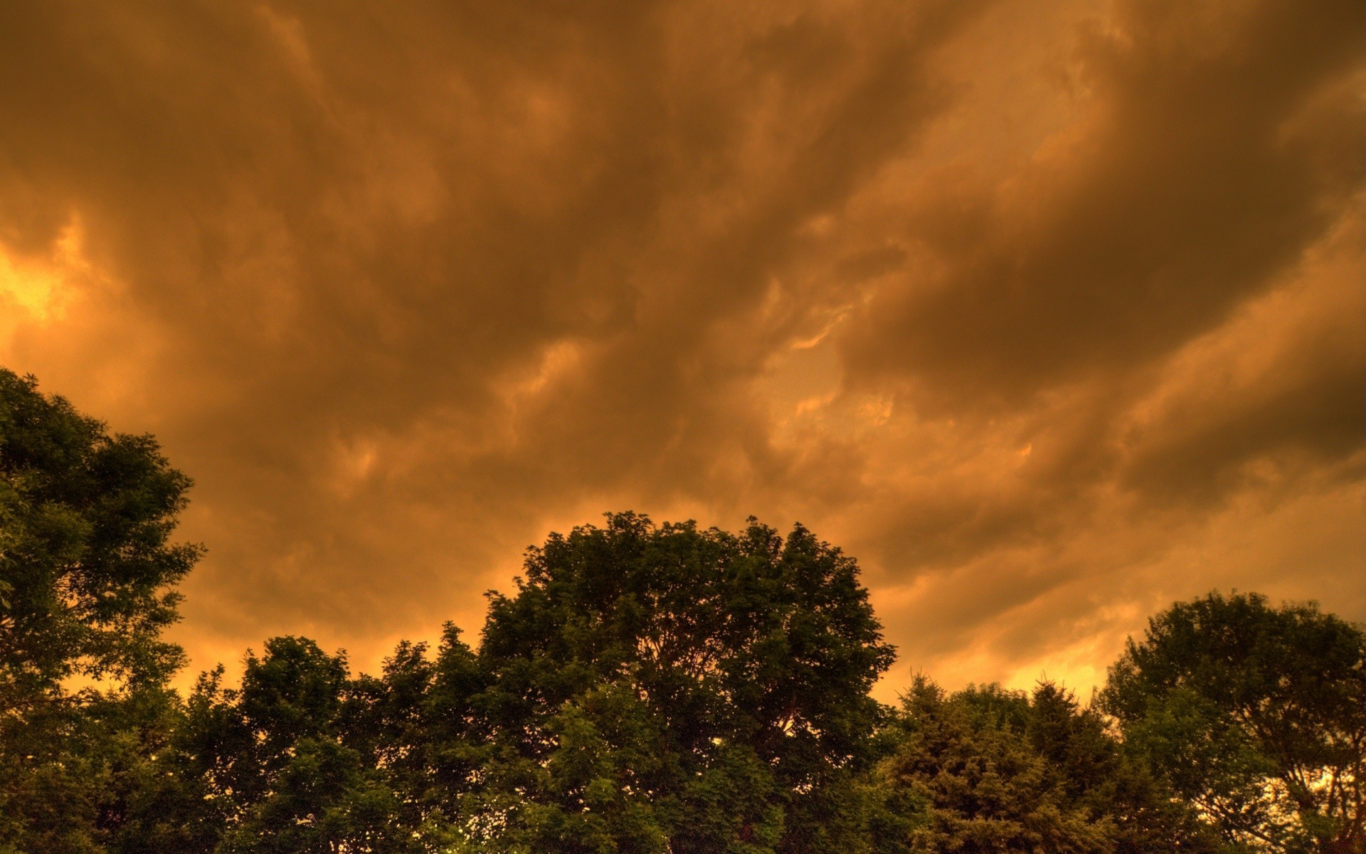 ciel coucher de soleil ciel aube nature soleil crépuscule soir en plein air rétro-éclairé paysage arbre beau temps silhouette tempête sombre lumière du jour dramatique