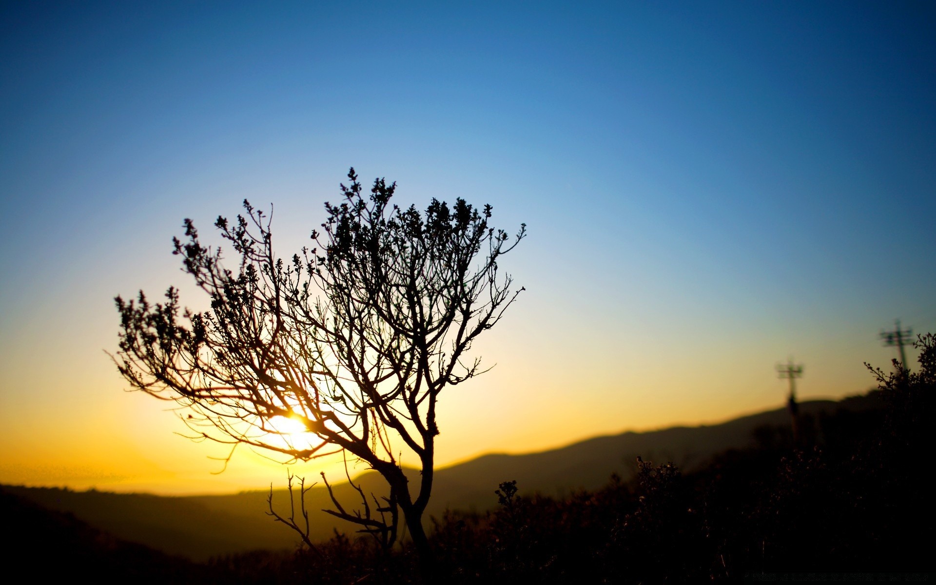 the sky sunset dawn sun silhouette sky evening dusk landscape nature backlit tree moon light fog fair weather outdoors fall mist