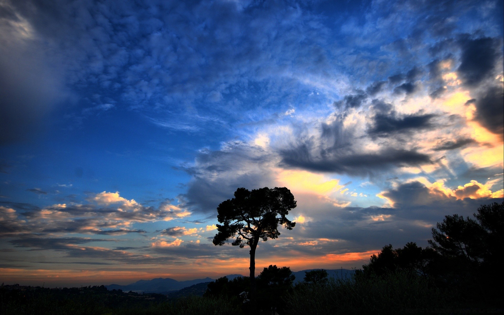 ciel coucher de soleil ciel soir aube soleil paysage silhouette crépuscule arbre à l extérieur nature rétro-éclairé beau temps lumière