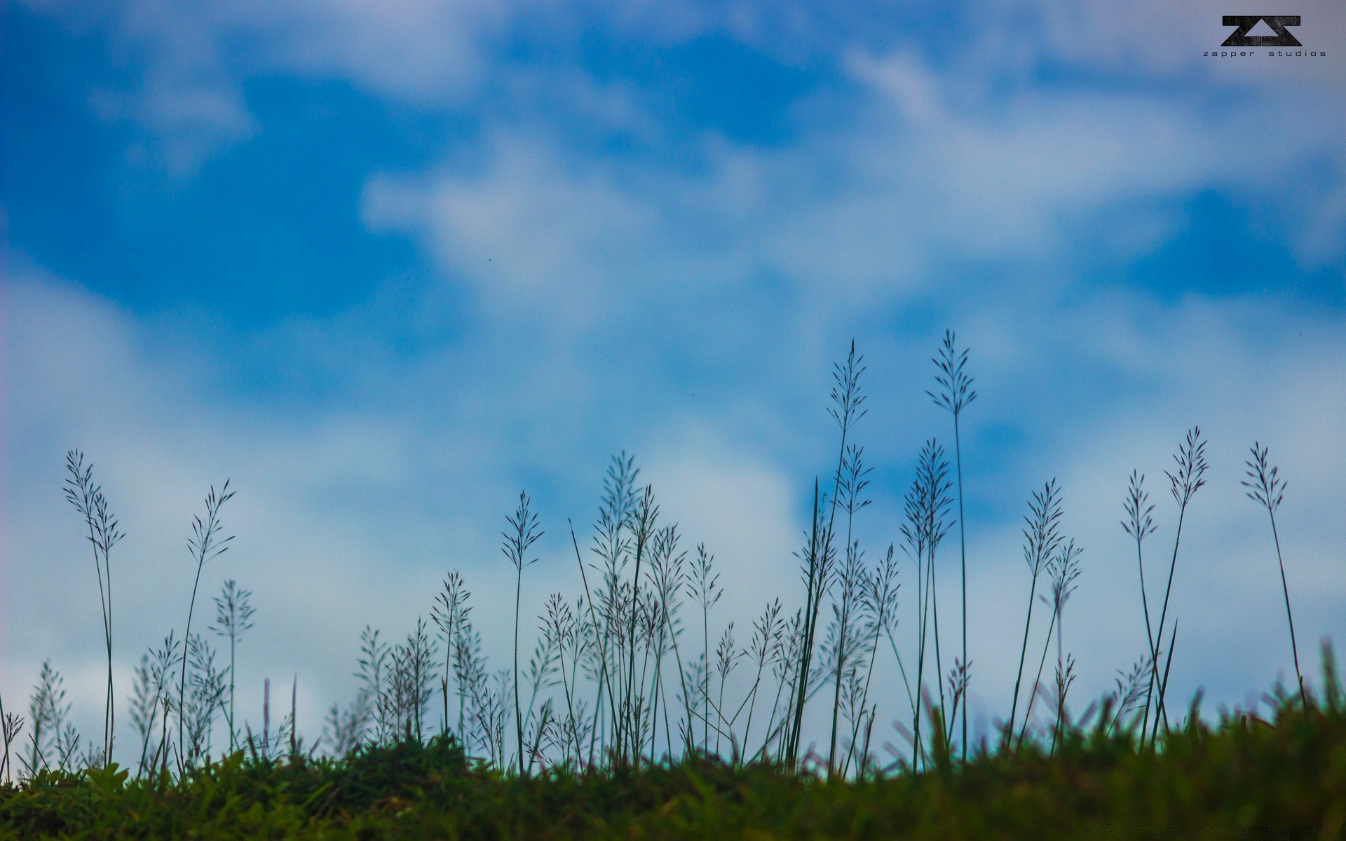 the sky nature landscape tree sky outdoors grass sun dawn summer fog light fair weather fall