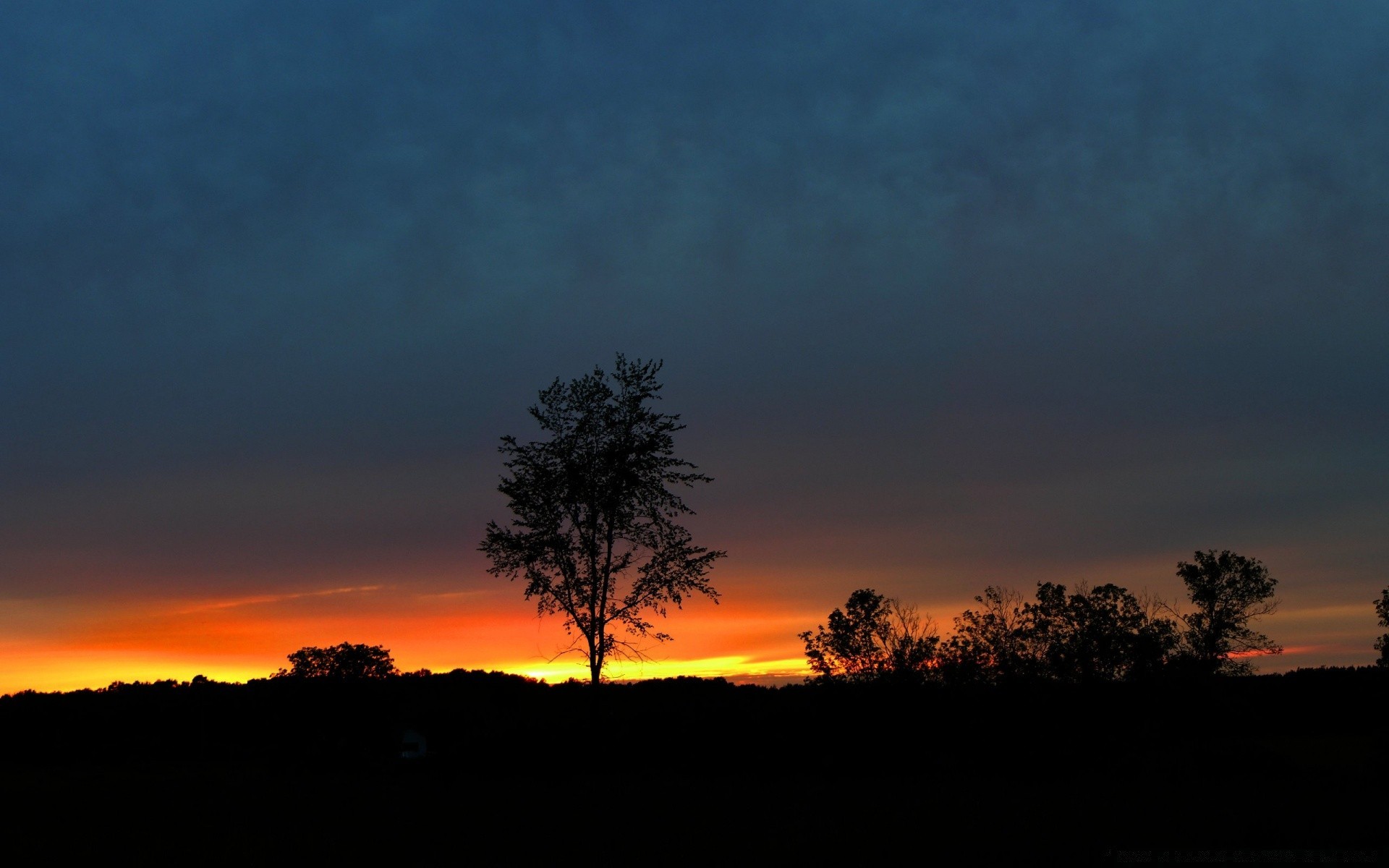 ciel coucher de soleil aube soir silhouette arbre ciel à l extérieur nature paysage crépuscule soleil rétro-éclairé plesid