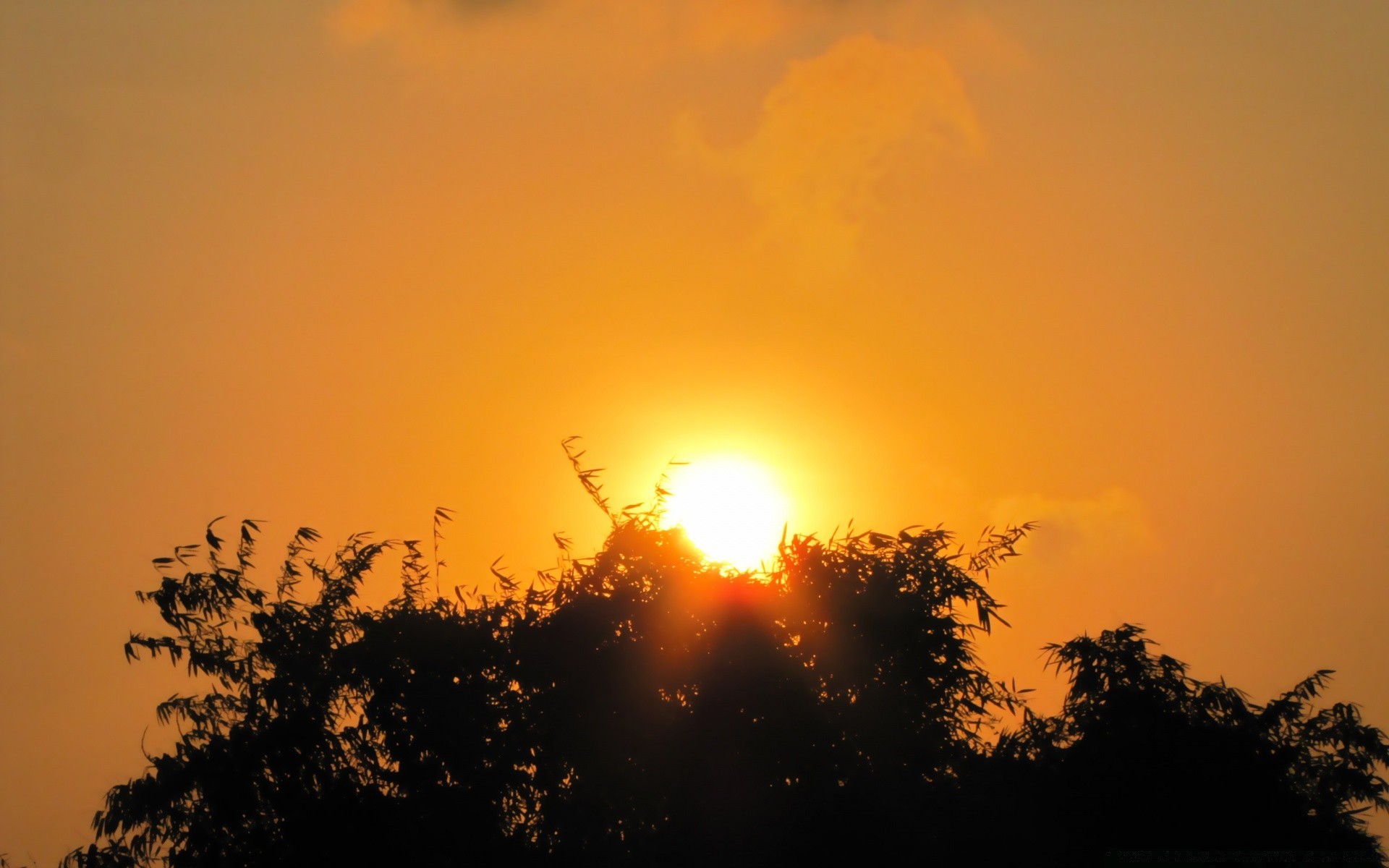 cielo puesta de sol amanecer silueta sol iluminado noche paisaje cielo crepúsculo luz naturaleza niebla árbol tiempo buen tiempo niebla