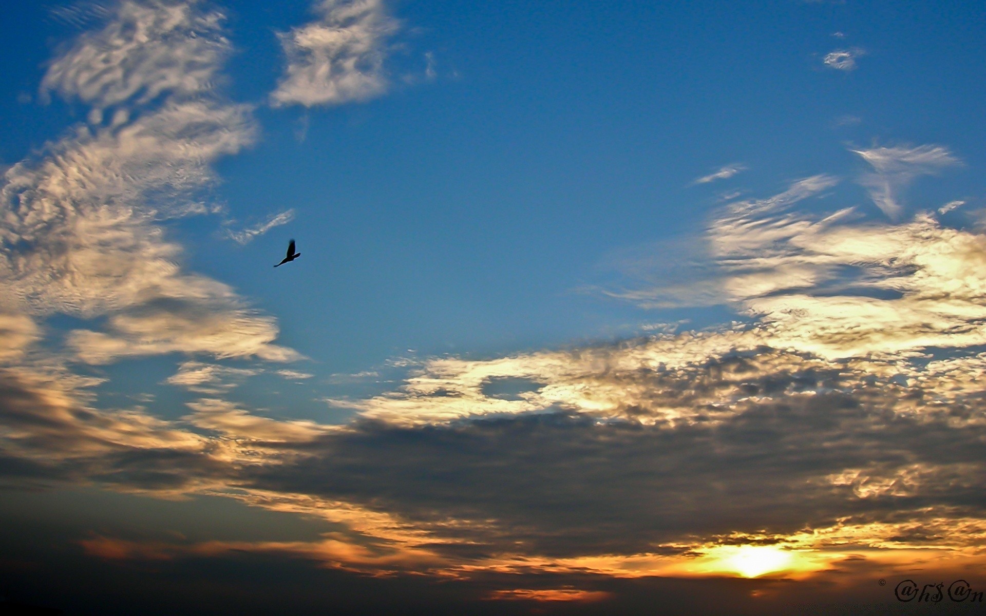 ciel coucher de soleil ciel soleil soir en plein air aube crépuscule nature beau temps lumière silhouette lumière du jour dramatique paysage météo ciel été