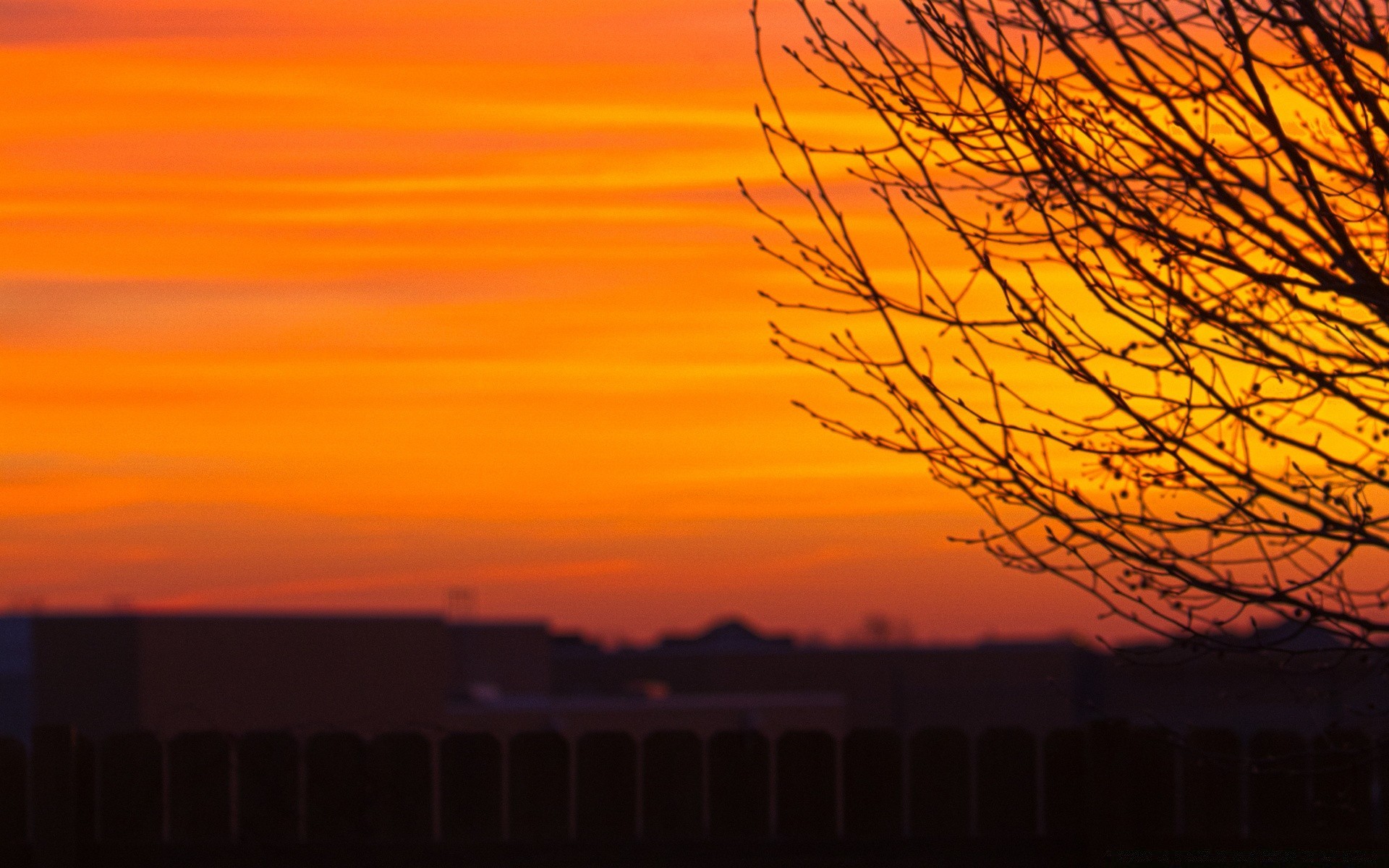 the sky sunset evening dawn backlit silhouette light outdoors tree dusk landscape sky sun nature