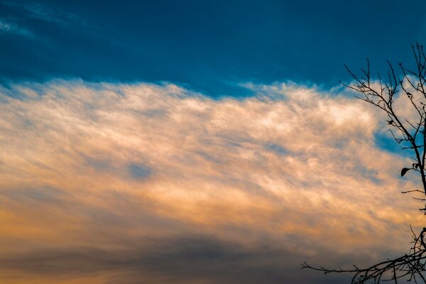 Rosa Sonnenuntergang und blauer Himmel