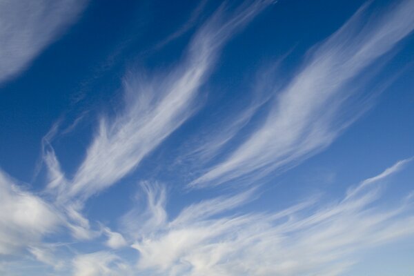 Cirrus clouds in the sky