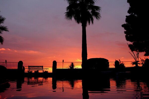 Riflessione del cielo di palma del tramonto del Sud