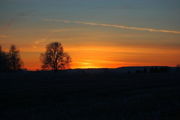 Naturaleza al atardecer