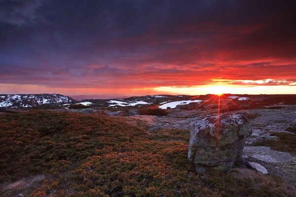 Scarlet sunset in the sky