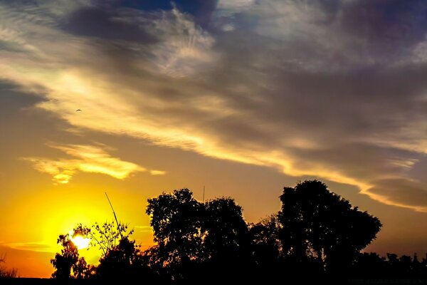 Bela paisagem do pôr do sol de Verão