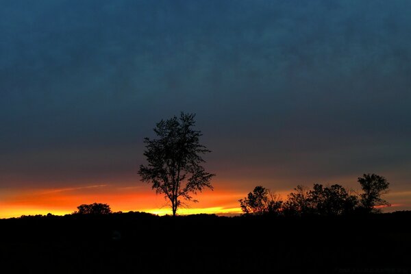 Hermosa puesta de sol. El sol se ha puesto sobre el horizonte