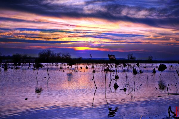 Lake at sunset