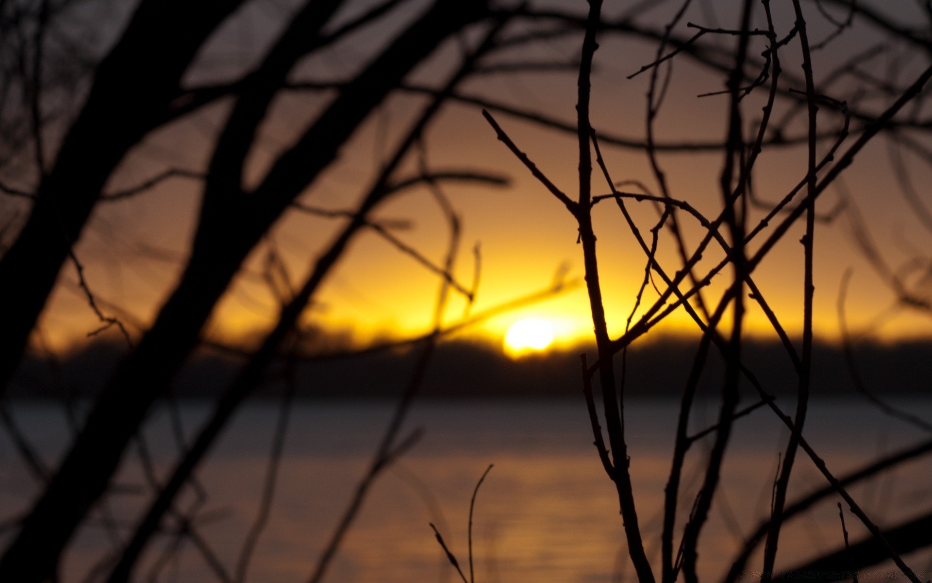 ciel coucher de soleil aube soleil nature arbre lumière silhouette paysage ciel soir bois rétro-éclairé crépuscule automne à l extérieur beau temps sombre hiver