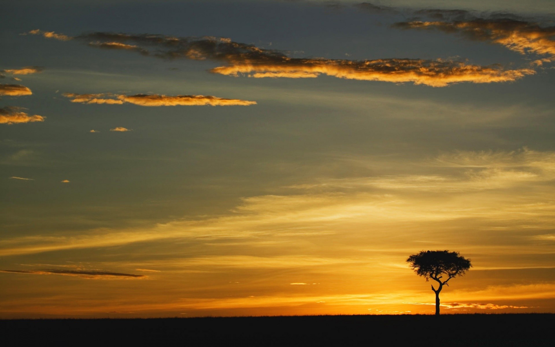 the sky sunset dawn sun evening sky dusk nature silhouette outdoors fair weather water landscape summer backlit