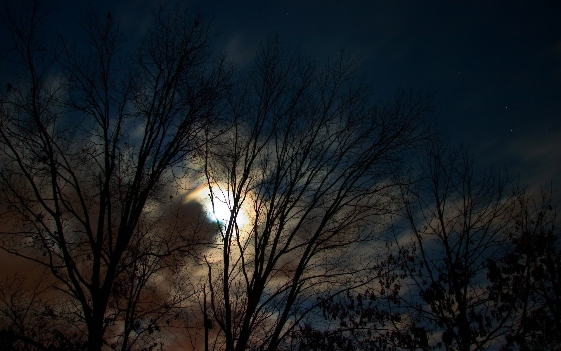 cielo amanecer árbol paisaje naturaleza puesta de sol otoño invierno madera niebla sol silueta luz tiempo nieve niebla oscuro frío al aire libre cielo