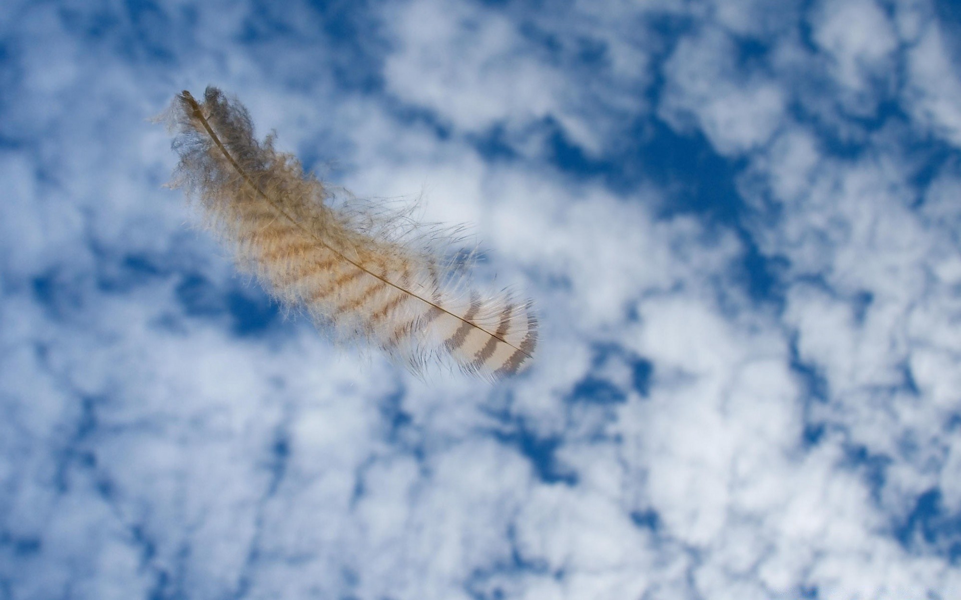 the sky winter nature snow sky weather outdoors frost desktop ice cold airplane downy color daylight bright fair weather