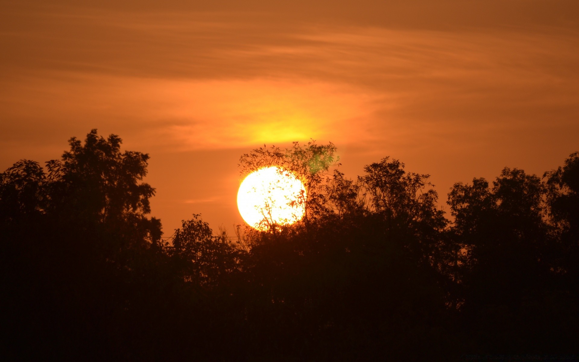 ciel coucher de soleil soleil aube soir ciel crépuscule paysage silhouette rétro-éclairé beau temps lumière nature lune