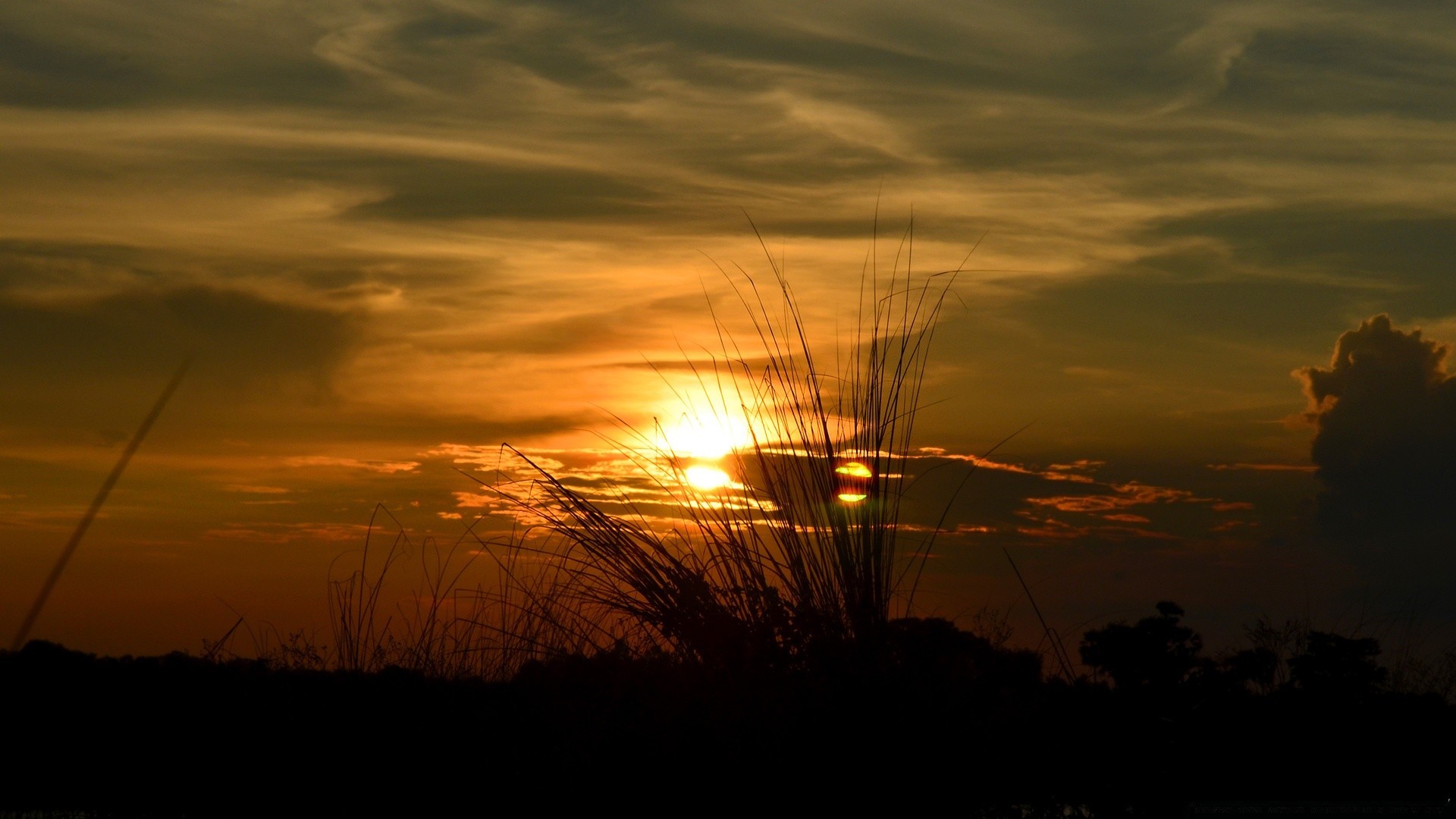 the sky sunset landscape dawn evening sky silhouette dusk sun light cloud backlit nature gold water beach lake tree storm