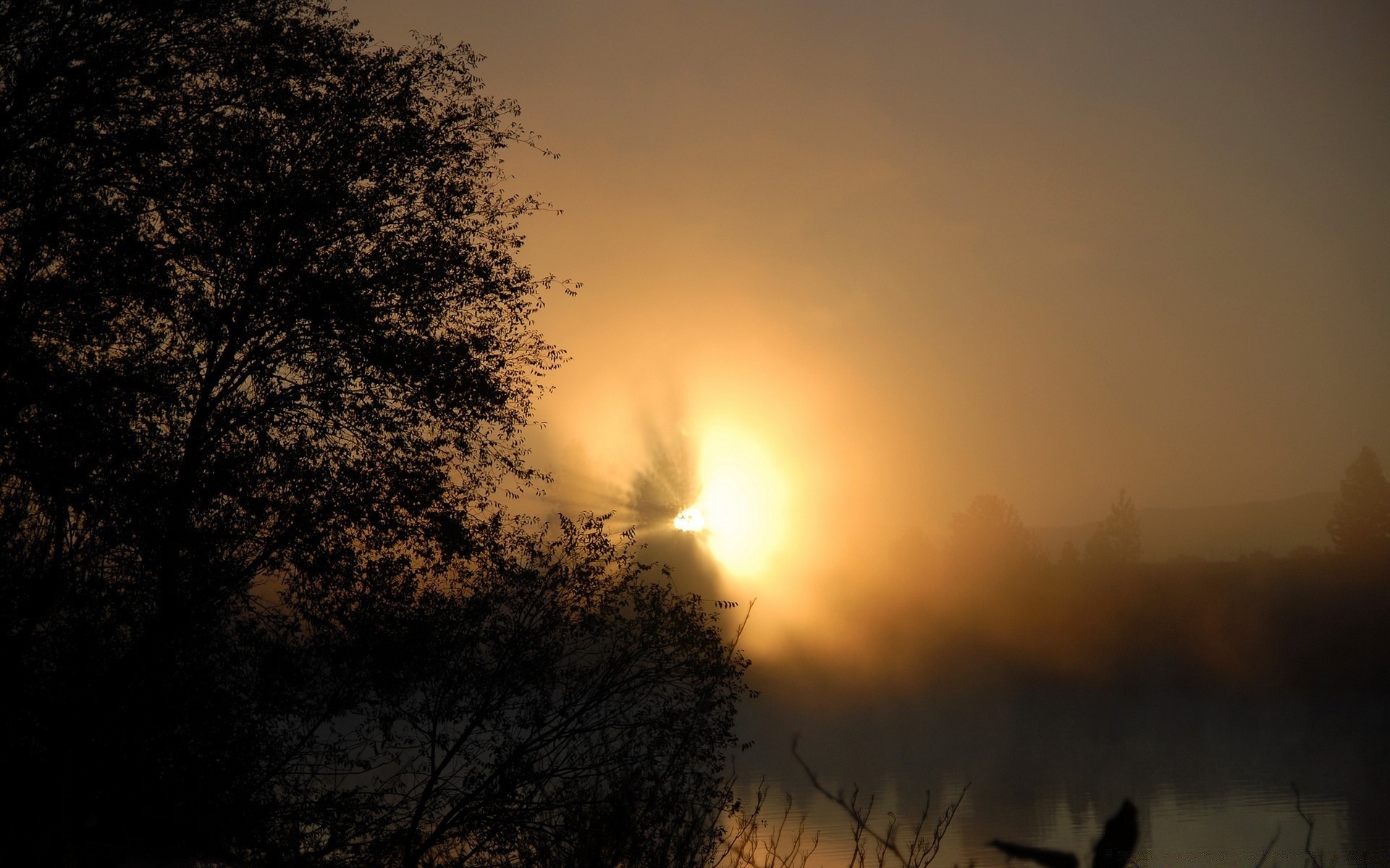 cielo amanecer atardecer sol paisaje niebla silueta árbol naturaleza cielo niebla noche buen tiempo iluminado luz luna tiempo crepúsculo invierno al aire libre