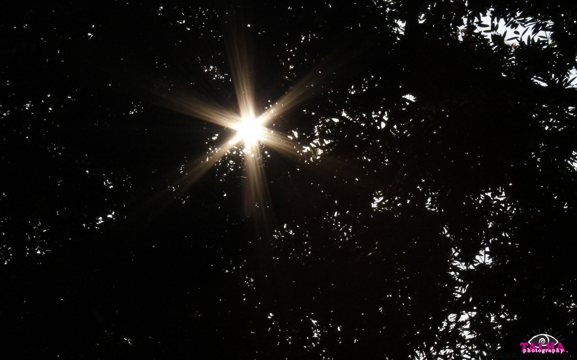 céu astronomia escuro brilhante brilha natal espaço espumante lua iluminado brilhar sol design gráfico