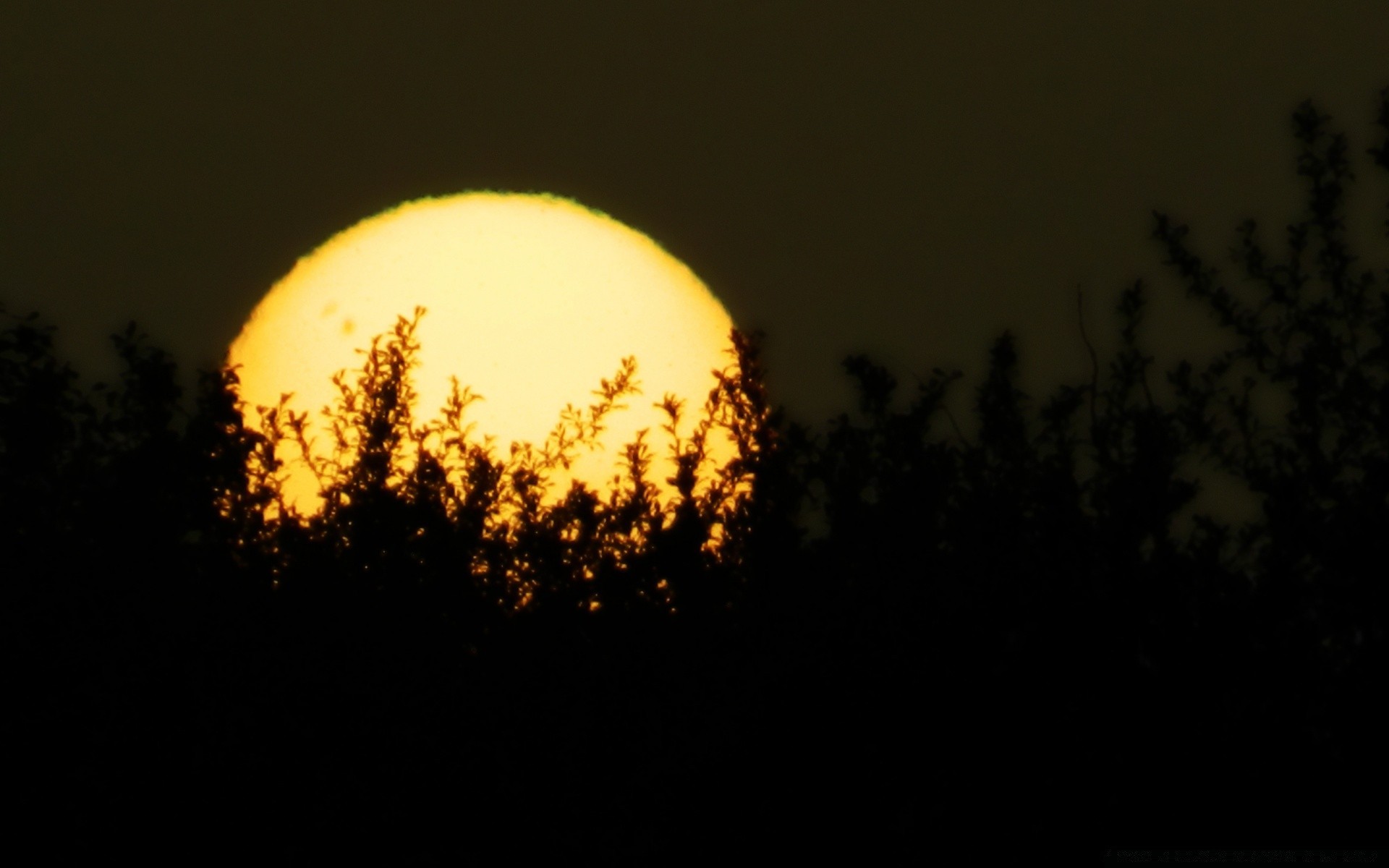 céu lua sol pôr do sol natureza céu luz paisagem silhueta amanhecer escuro árvore inverno noite anoitecer névoa outono ao ar livre