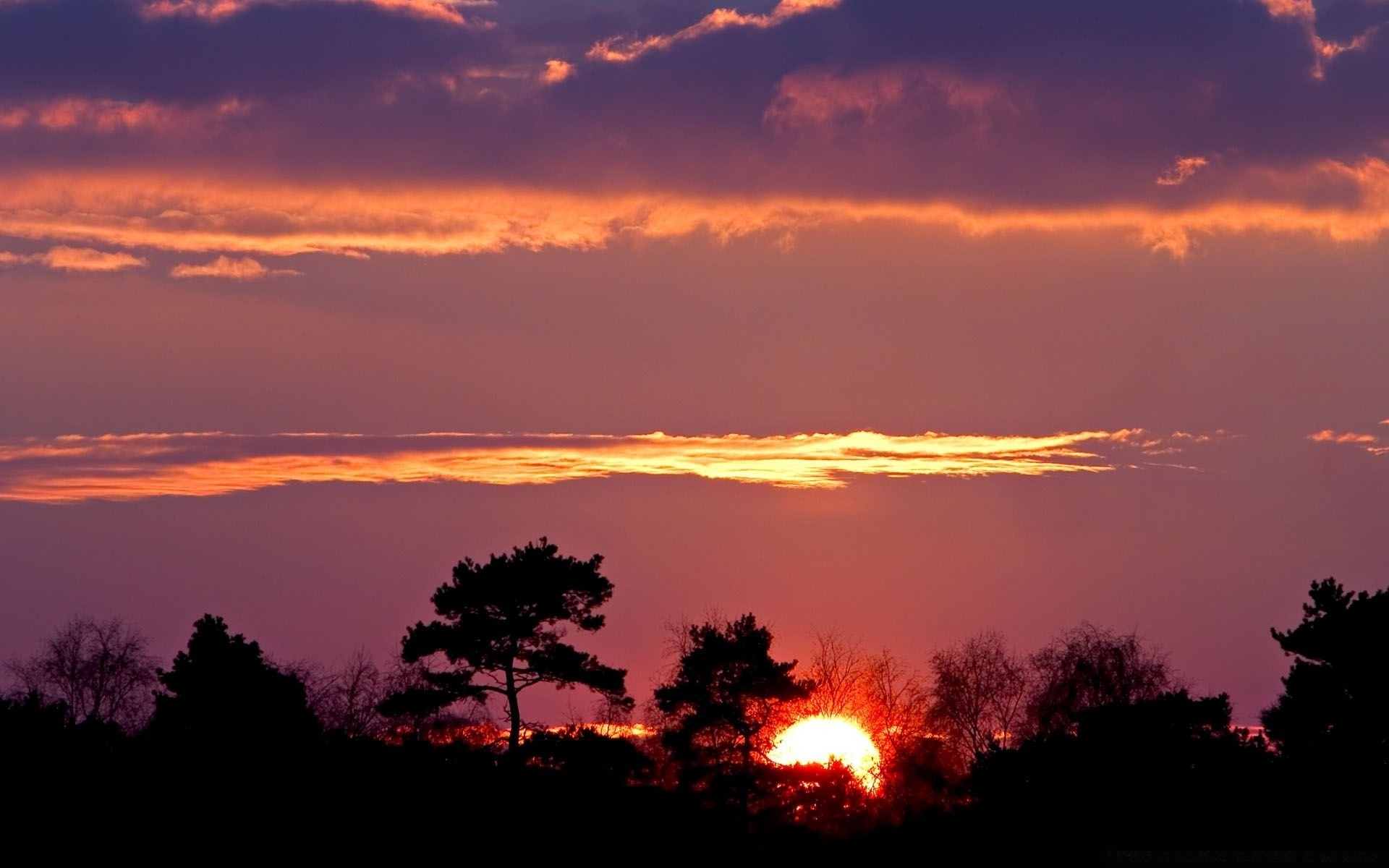 the sky sunset dawn sun evening silhouette backlit dusk sky landscape fair weather nature light outdoors