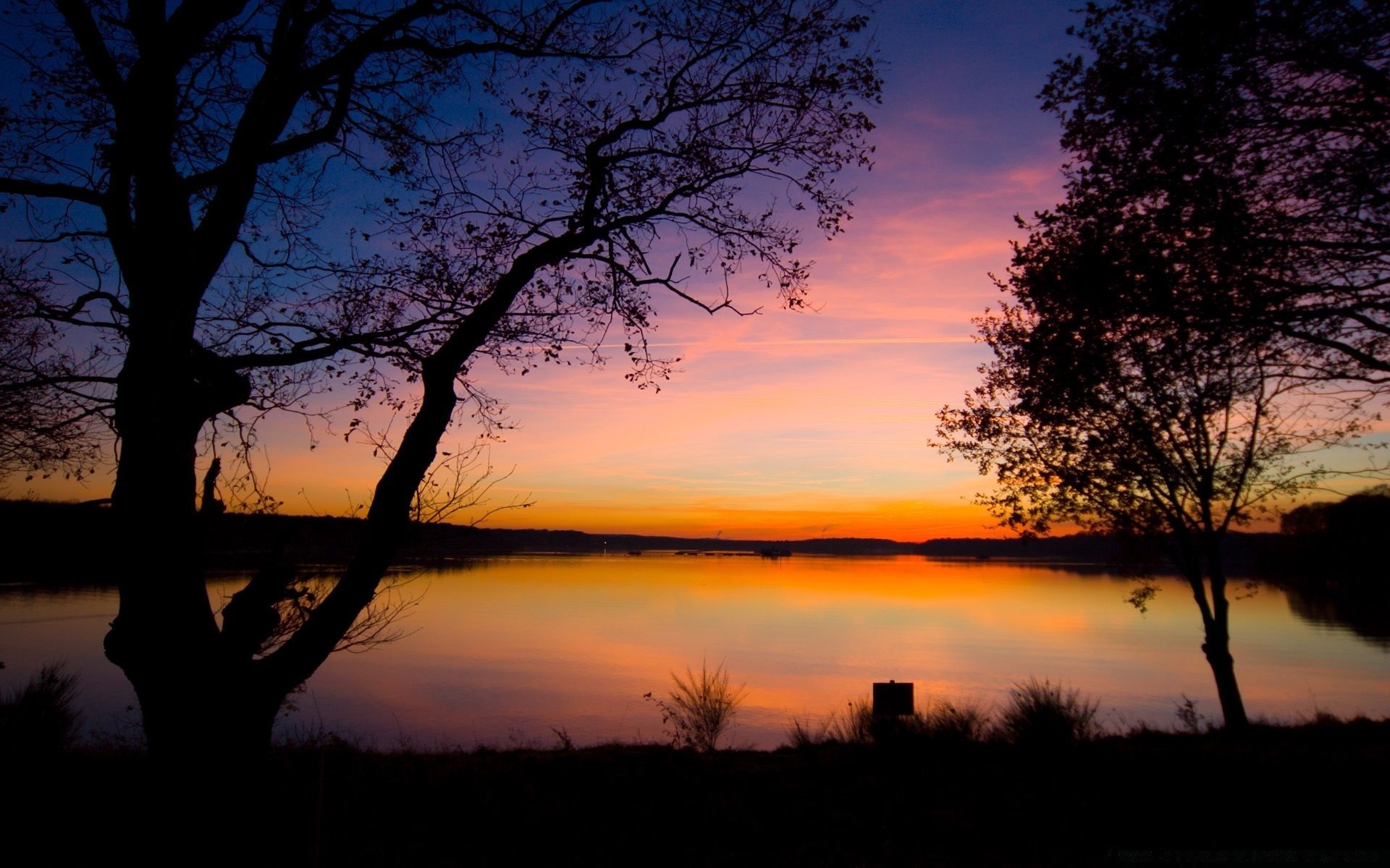 cielo albero alba tramonto paesaggio sera illuminato crepuscolo autunno silhouette sole natura cielo all aperto luce scenico