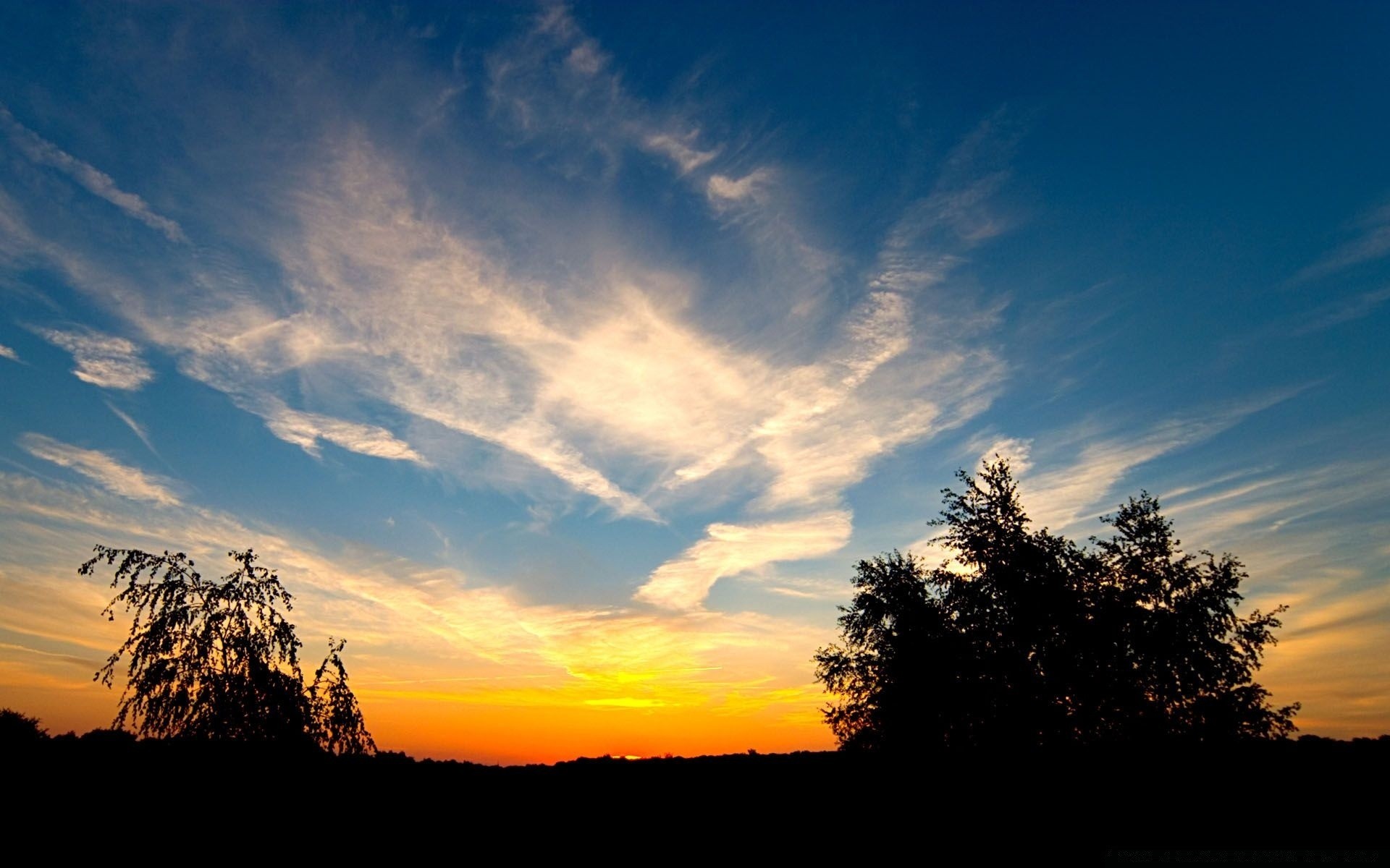 cielo tramonto alba sole cielo natura la sera bel tempo crepuscolo albero paesaggio all aperto silhouette luci