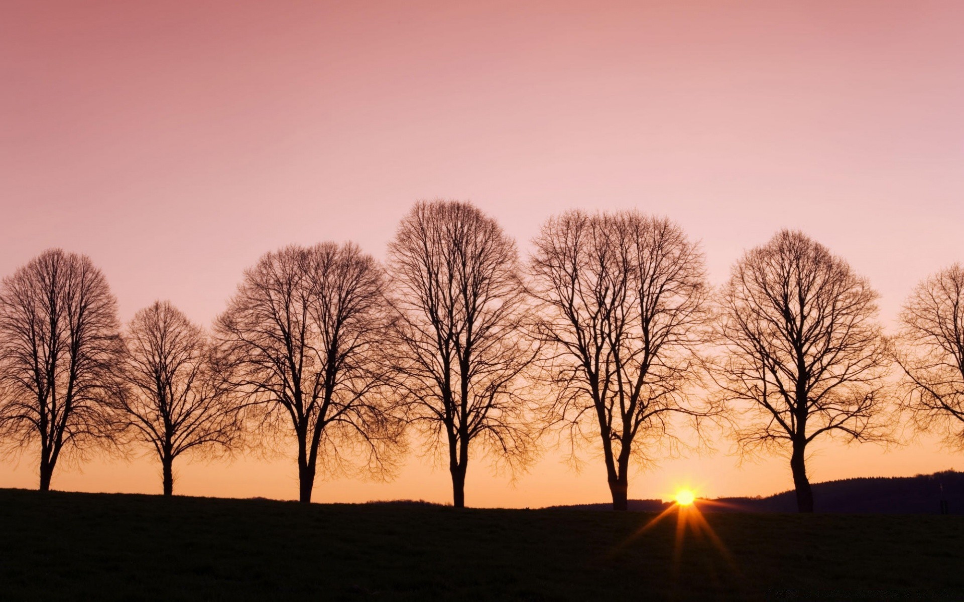 cielo paesaggio alba tramonto albero sole nebbia natura illuminato silhouette cielo bel tempo autunno luce sera nebbia all aperto singolo tempo