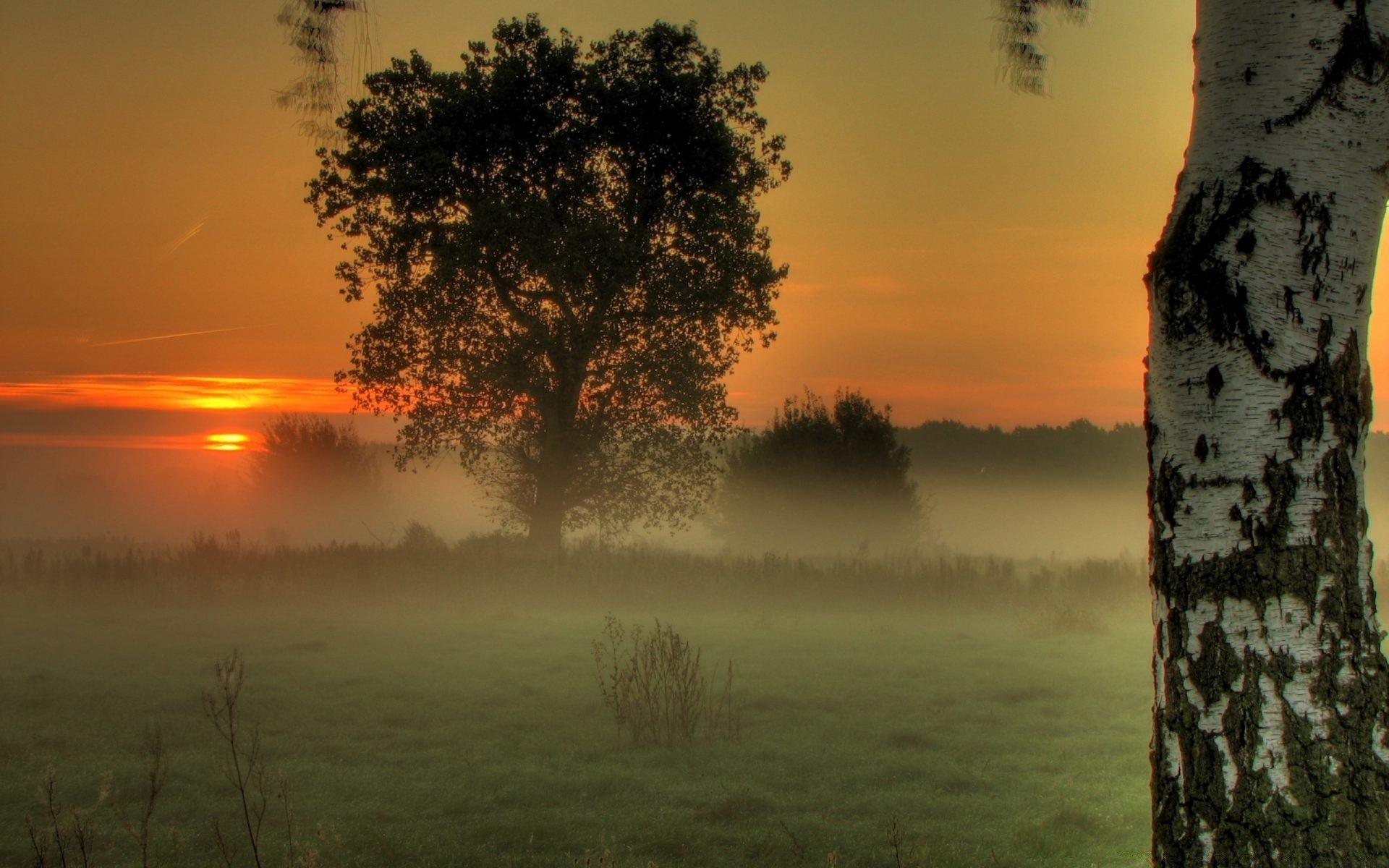 the sky dawn sunset sun landscape tree fog nature mist fair weather evening water lake sky outdoors backlit dusk summer light