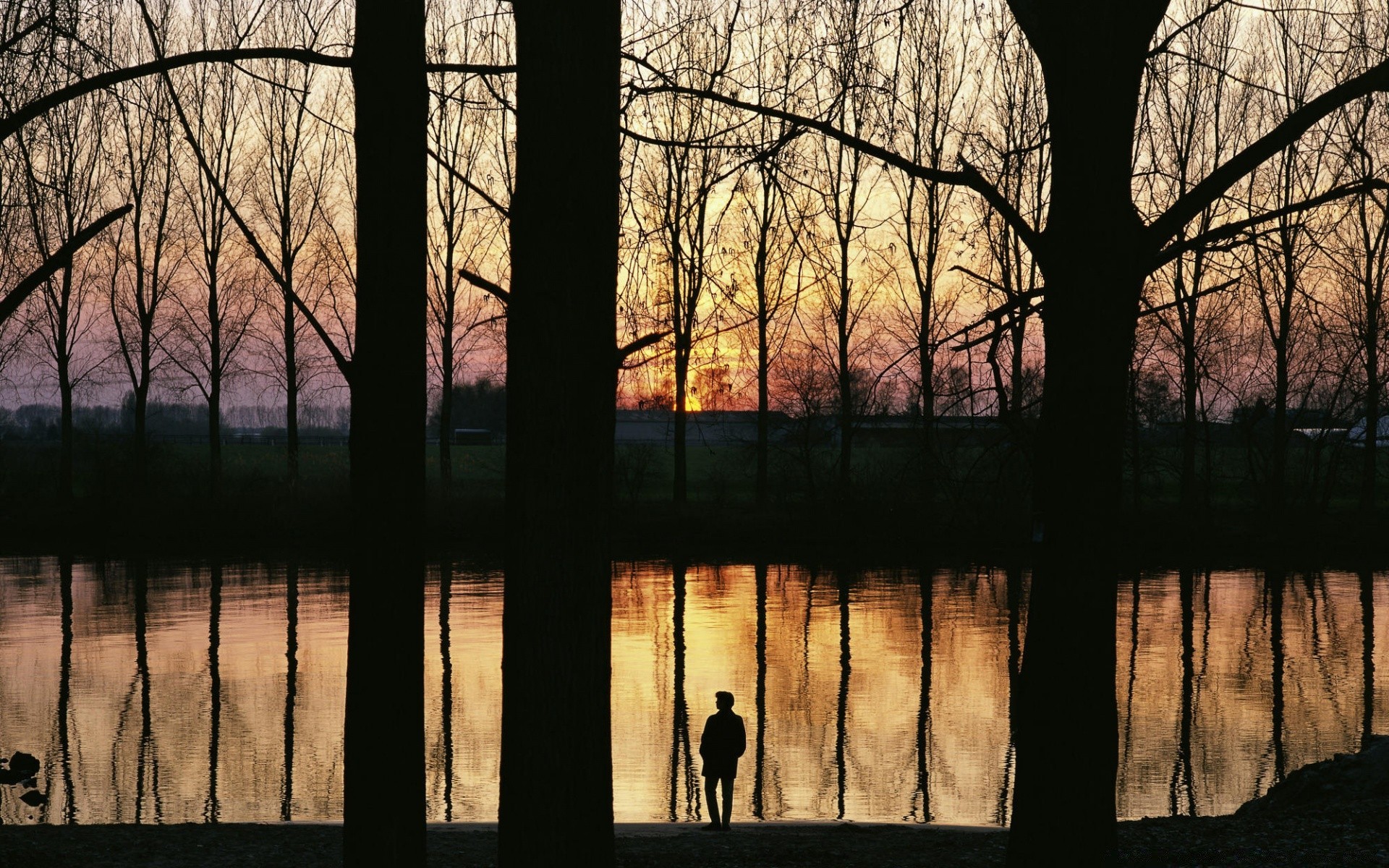 the sky reflection tree wood nature shadow dawn lake dark fall light silhouette landscape water park desktop