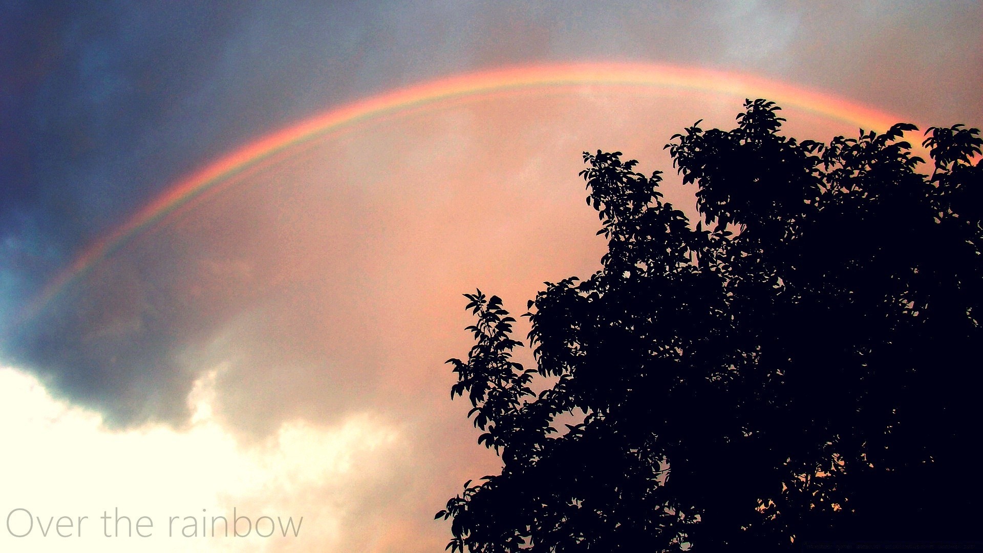 himmel himmel regenbogen wetter landschaft baum natur sonne im freien sonnenuntergang tageslicht abend mond landschaftlich licht dämmerung silhouette