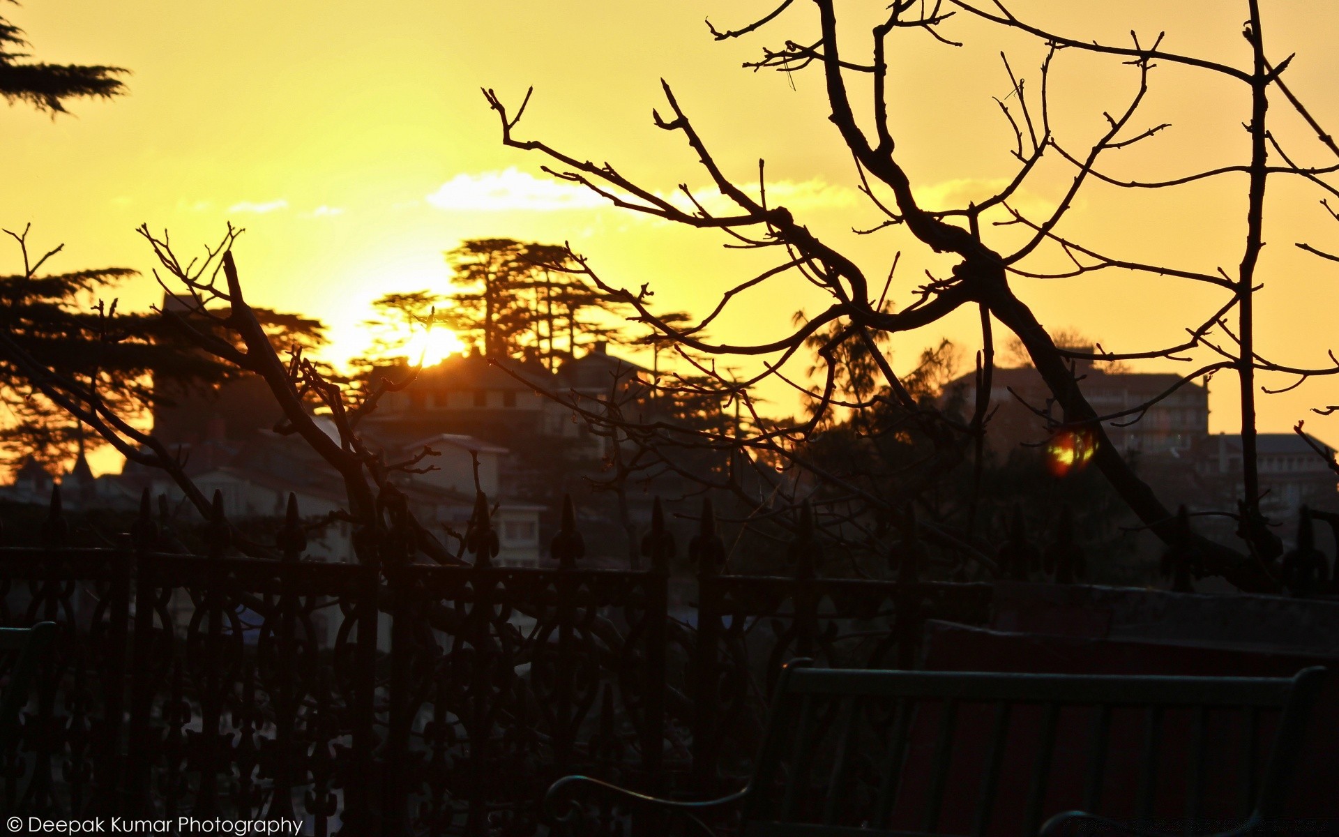 cielo tramonto alba silhouette sera albero illuminato paesaggio crepuscolo luce sole natura cielo legno ambiente tempo ramo all aperto bel tempo