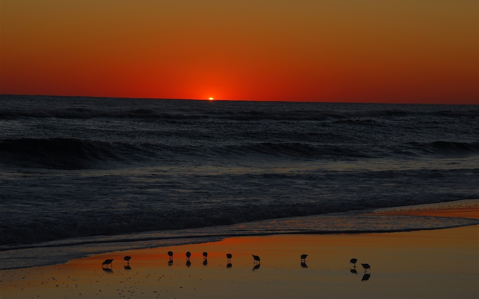 ciel coucher de soleil plage eau mer océan soir aube crépuscule soleil mer paysage surf sable paysage voyage rétro-éclairé ciel beau temps