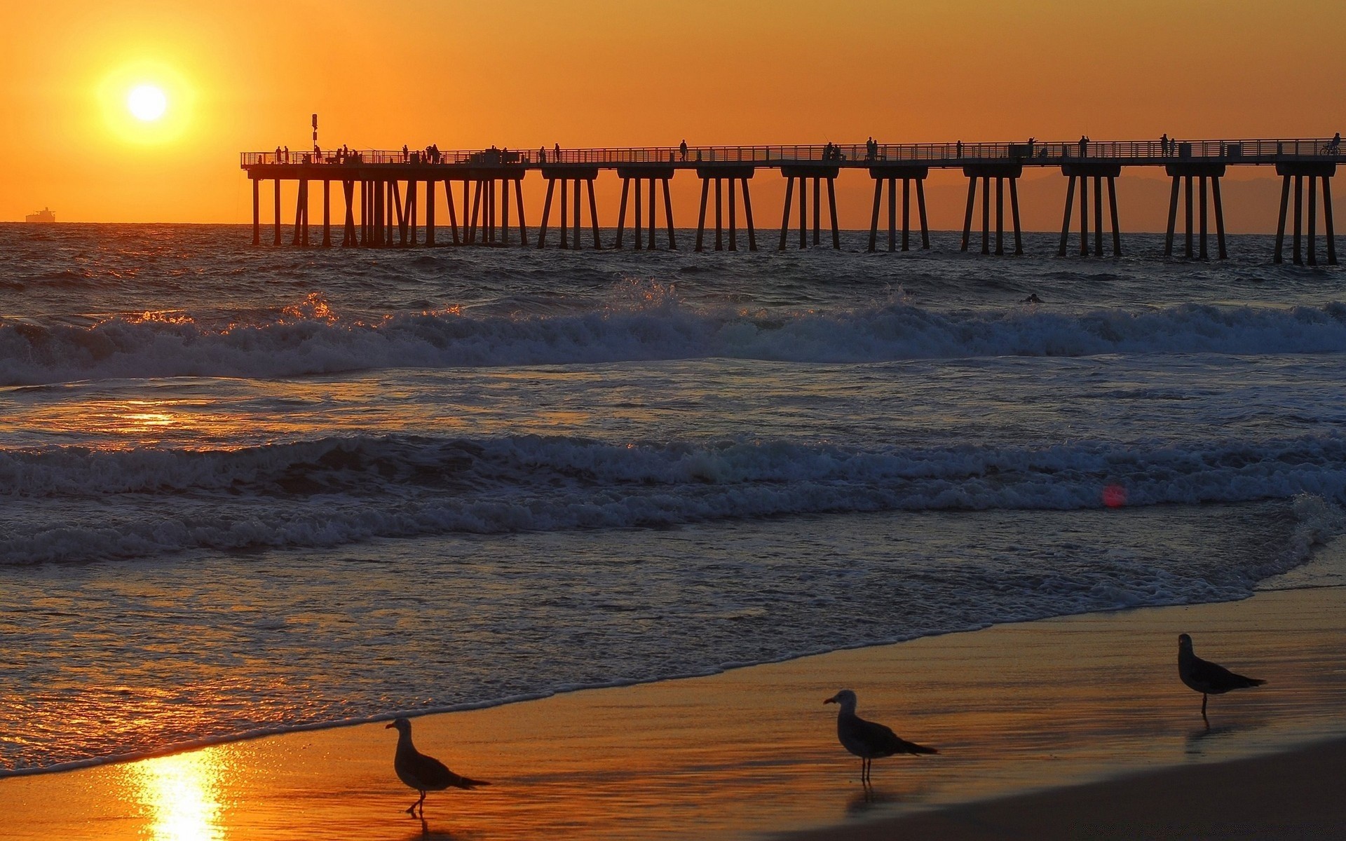 the sky sunset beach water dawn sea ocean evening seashore dusk reflection backlit sun pier silhouette surf seascape light landscape bird