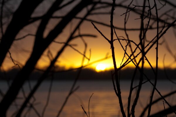 Belle aube. Ciel jaune