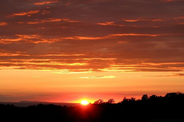 Ein blutroter Sonnenuntergang über den Baumwipfeln