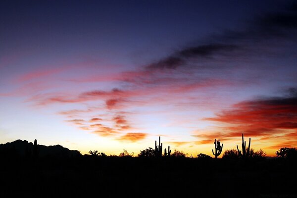 Gloomy sky over a desert landscape