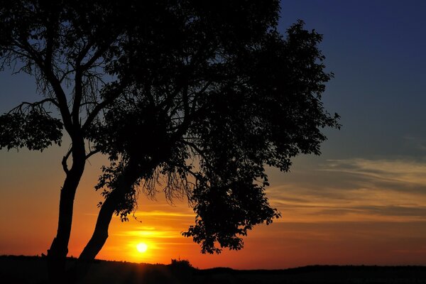 The sun has almost sunk below the horizon