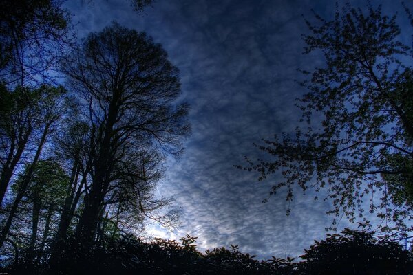 Cielo gris con fondos aterradores