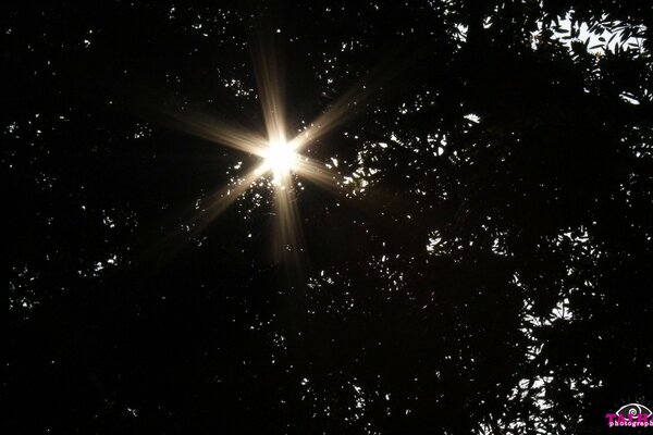 Lumineux svezla brille dans le ciel