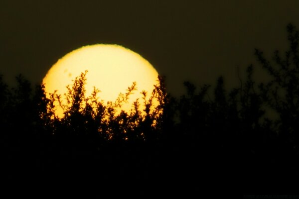 Hermosa puesta de sol. La naturaleza se duerme