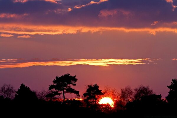 Abendsonne am Horizont