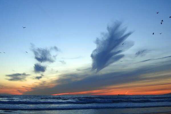 Photo of a beautiful sunset on the background of the sea