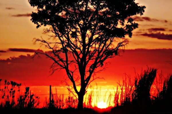 Der Himmel im Morgengrauen erinnert an ein glühendes Afrika