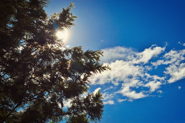 Ein reiner, friedlicher Himmel. Die Wolken