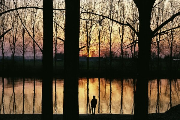 Hombre en medio del agua y una serie de árboles